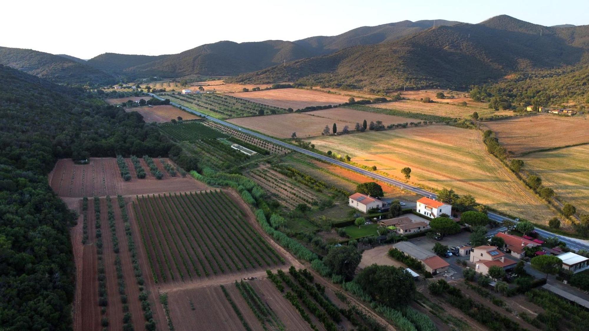 Farm stay La Sassicaia