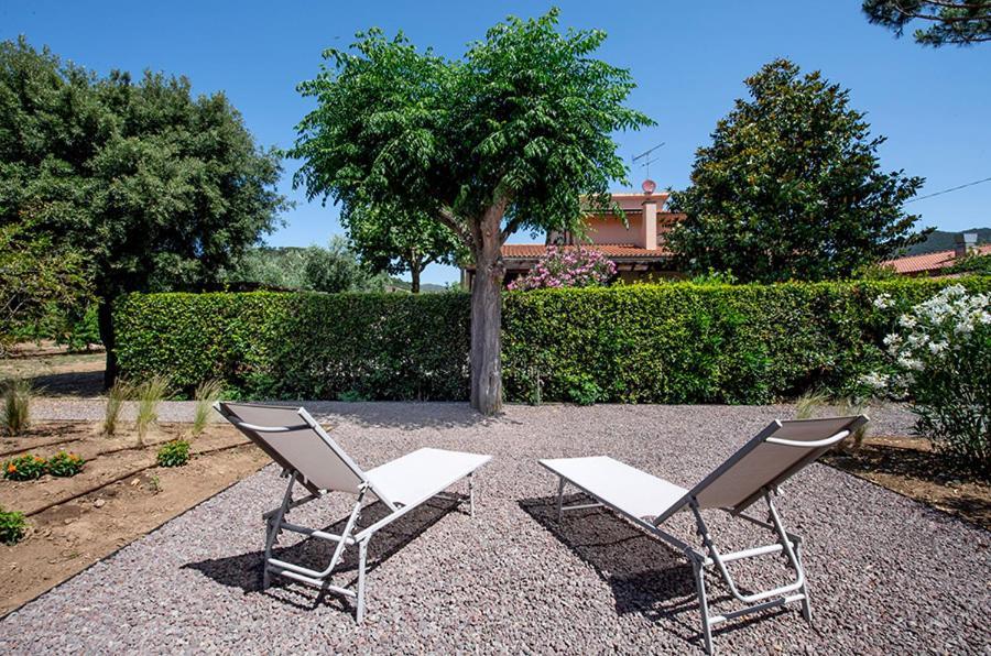 La Sassicaia